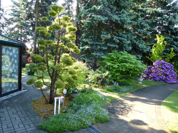 Haus Tanneneck - Haus und Garten